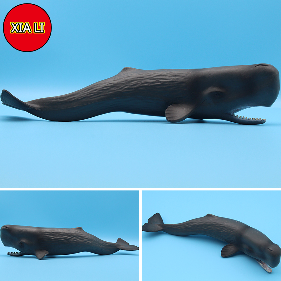 Ocean Sea Life Simulation Kill - Aquarium Blue Marine ulasan dan harga