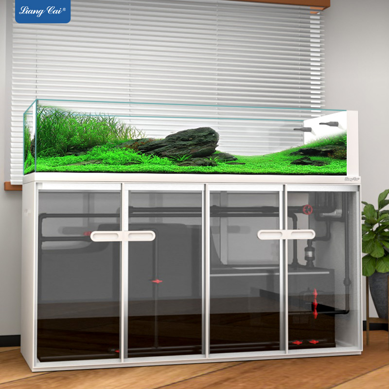 Large Modern Style Glass Fish  - Marine Aquarium Tank For Sale ulasan dan harga