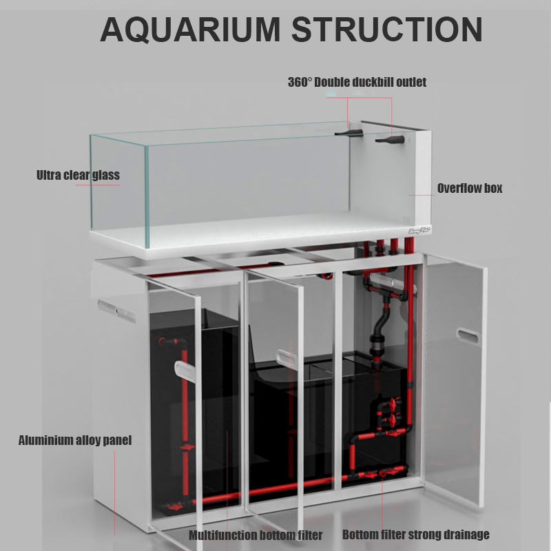 Large Modern Style Glass Fish  - Marine Aquarium Tank For Sale ulasan dan harga