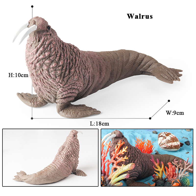 Oenux New Sea Life Seal Sea Li - Aquarium Blue Marine ulasan dan harga