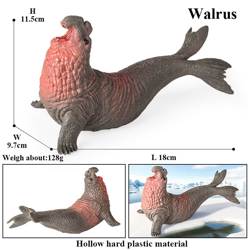 Oenux New Sea Life Seal Sea Li - Aquarium Blue Marine ulasan dan harga