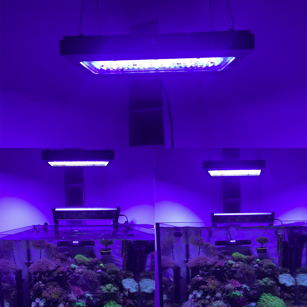 A8se Pro III MAX Blue 240W Mar - Aquarium Blue Marine ulasan dan harga