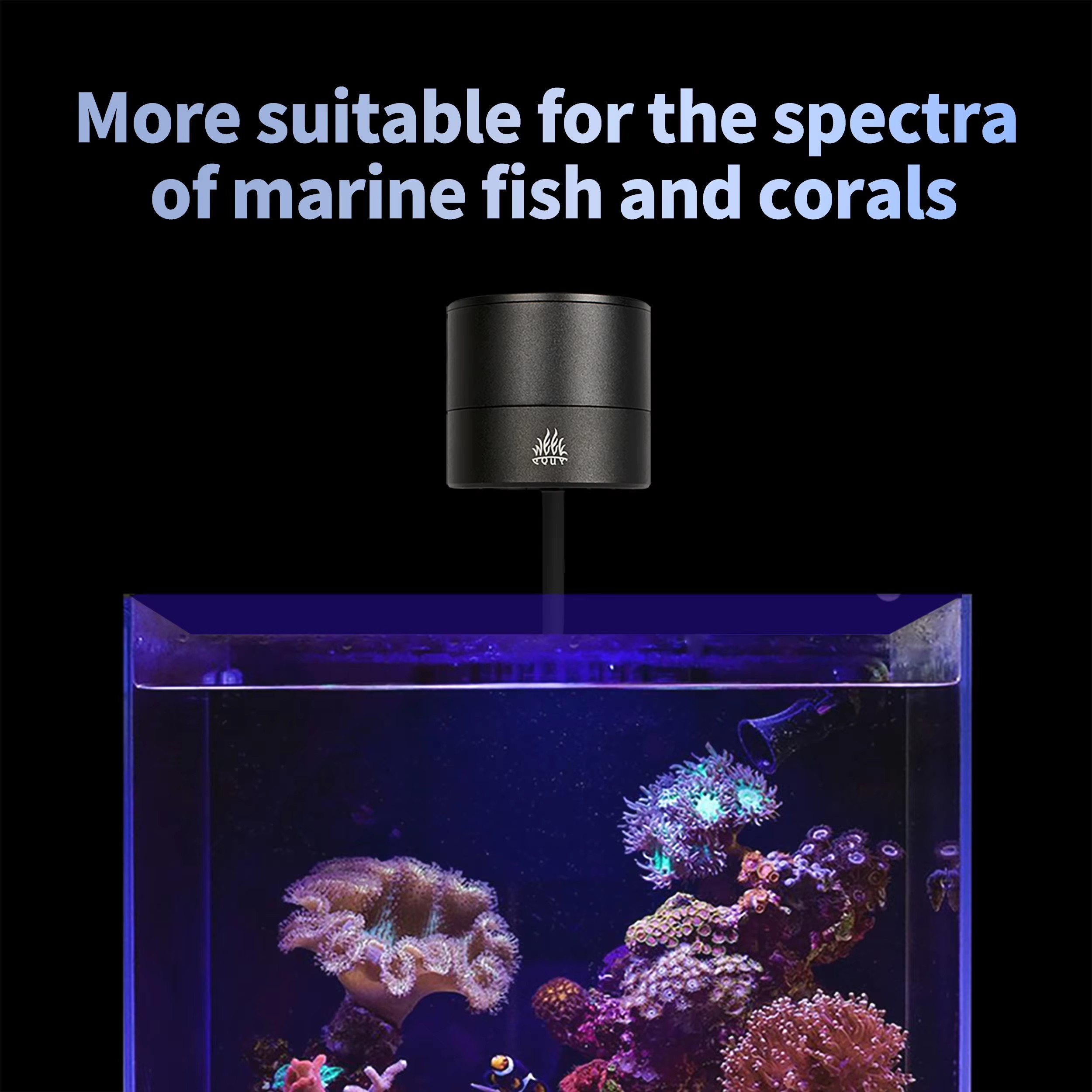 WEEK AQUA Aquarium Light Manuf - Aquarium Blue Marine ulasan dan harga