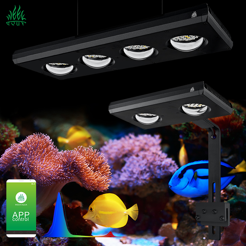 ZXY Hot Sale WEEKAQUA Z250 Z40 - Aquarium Blue Marine ulasan dan harga
