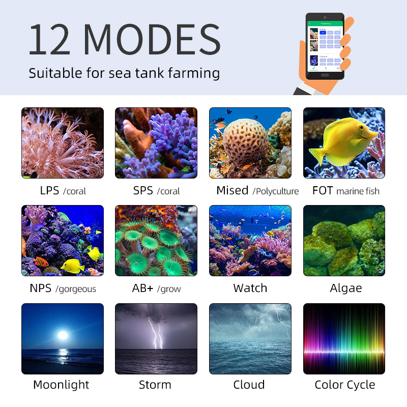 ZXY Hot Sale WEEKAQUA Z250 Z40 - Aquarium Blue Marine ulasan dan harga