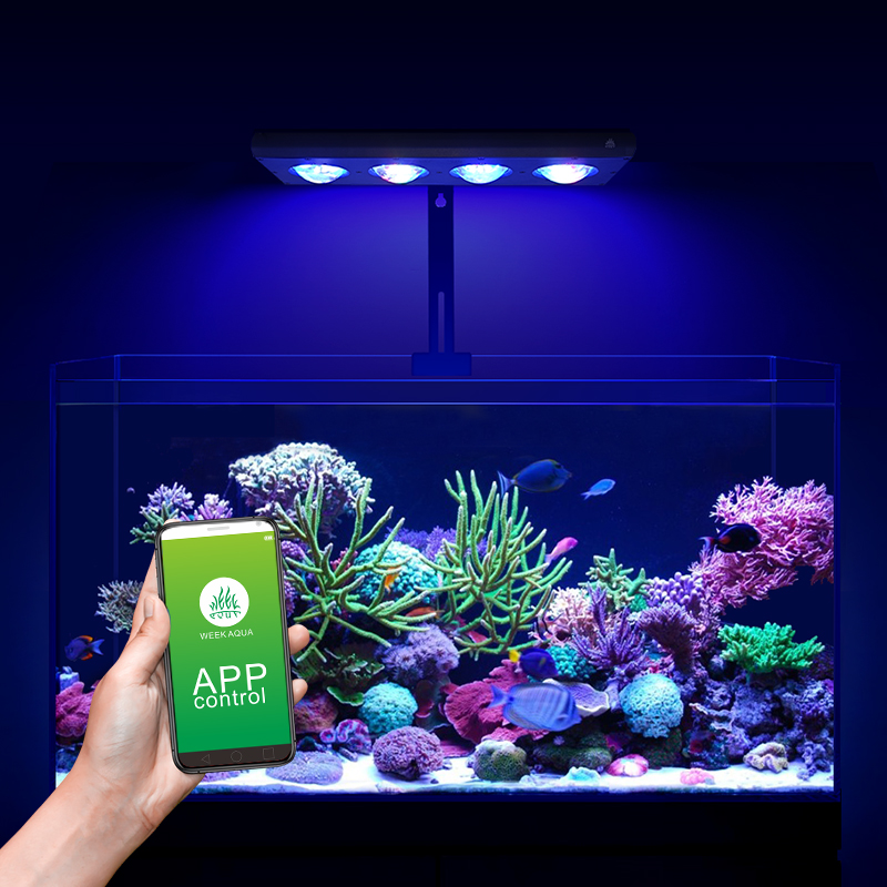 ZXY Hot Sale WEEKAQUA Z250 Z40 - Aquarium Blue Marine ulasan dan harga