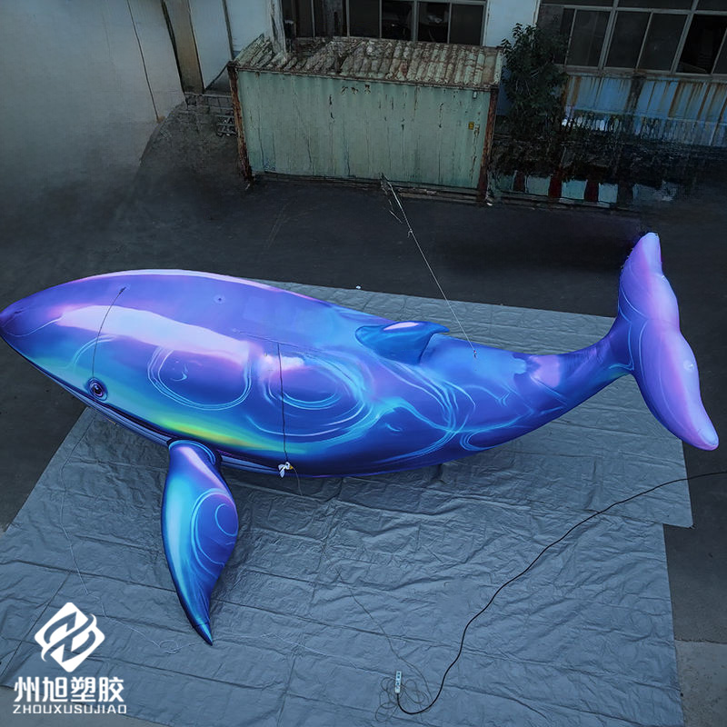 Inflatable blue whale, used as - Aquarium Blue Marine ulasan dan harga