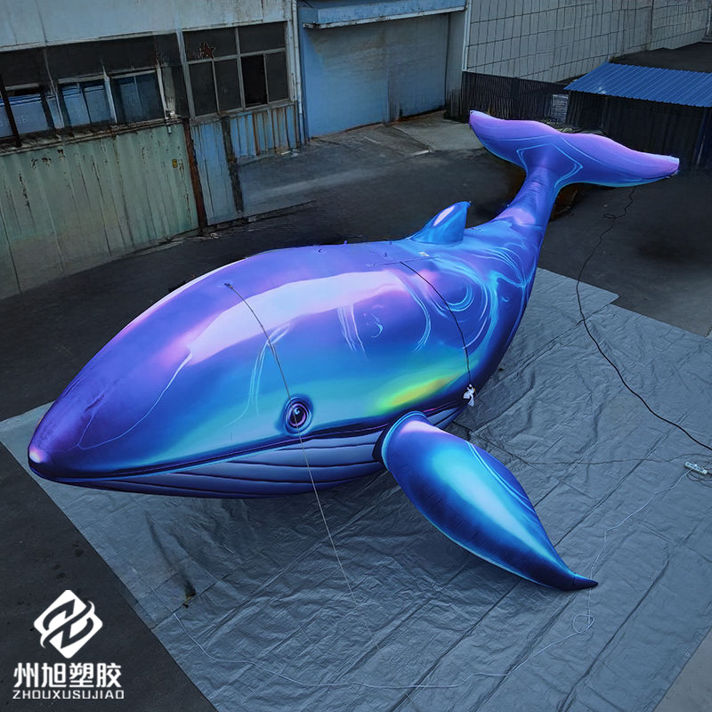 Inflatable blue whale, used as - Aquarium Blue Marine ulasan dan harga