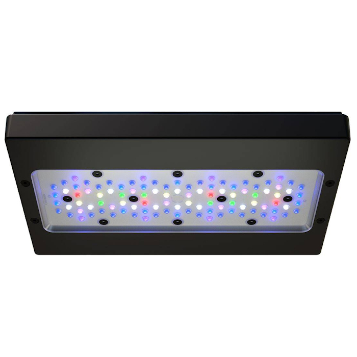 A8 PRO III Max and Blue 245W F - Aquarium Blue Marine ulasan dan harga